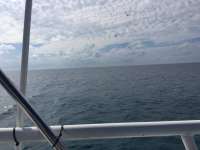 Great day of scuba diving in Key Largo with Rainbow Reef on uscgc duane tropical adventure 2018 09 12 r7028 1