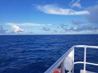 Great day of scuba diving in Key Largo with Rainbow Reef on uscgc duane tropical destiny 2018 09 06 r6992 1