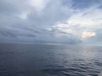 Great day of scuba diving in Key Largo with Rainbow Reef on uscgc duane tropical destiny 2018 09 08 r7010 1