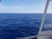 Great day of scuba diving in Key Largo with Rainbow Reef on uscgc duane tropical destiny 2018 09 09 r7015 1