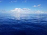 Great day of scuba diving in Key Largo with Rainbow Reef on uscgc duane tropical destiny 2018 09 15 r7042 1
