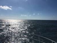 Great day of scuba diving in Key Largo with Rainbow Reef on uscgc duane tropical odyssey 2018 09 28 r7149 1