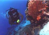 Great day of scuba diving in Key Largo with Rainbow Reef on uscgc duane tropical serenity 2018 09 30 r7168 1