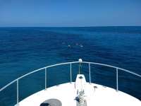 Great day of scuba diving in Key Largo with Rainbow Reef on banana patch tropical destiny 2019 04 27 r8188 1