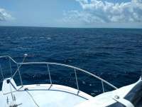 Great day of scuba diving in Key Largo with Rainbow Reef on christ statue tropical serenity 2019 04 02 r8064 1
