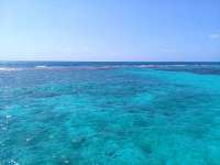 Great day of scuba diving in Key Largo with Rainbow Reef on christmastree cave tropical legend 2019 04 10 r8101 1