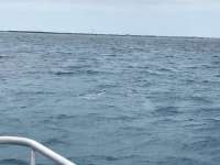 Great day of scuba diving in Key Largo with Rainbow Reef on crf nursery tropical odyssey 2019 04 20 r8148 1