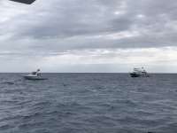 Great day of scuba diving in Key Largo with Rainbow Reef on eagle ray alley tropical odyssey 2019 04 20 r8145 1