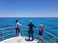 Great day of scuba diving in Key Largo with Rainbow Reef on eagle ray alley tropical odyssey 2019 04 21 r8154 1