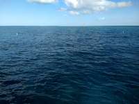 Great day of scuba diving in Key Largo with Rainbow Reef on eagle ray alley tropical serenity 2019 04 01 r8051 2