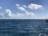 Great day of scuba diving in Key Largo with Rainbow Reef on eagle ray alley tropical serenity 2019 04 29 r8194 1