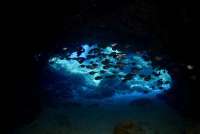Great day of scuba diving in Key Largo with Rainbow Reef on fire coral cave santana 2019 04 21 r8152 3