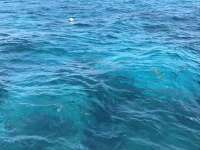 Great day of scuba diving in Key Largo with Rainbow Reef on hole in the wall tropical serenity 2019 04 06 r8079 1