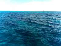 Great day of scuba diving in Key Largo with Rainbow Reef on molasses reef tropical destiny 2019 04 23 r8165 1