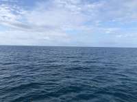 Great day of scuba diving in Key Largo with Rainbow Reef on molasses reef tropical legend 2019 04 11 r8104 1