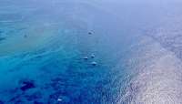 Great day of scuba diving in Key Largo with Rainbow Reef on permit ledges santana 2019 04 17 r8134 1