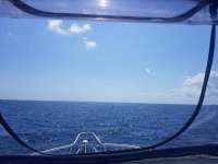 Great day of scuba diving in Key Largo with Rainbow Reef on spiegel grove tropical adventure 2019 04 02 r8066 1