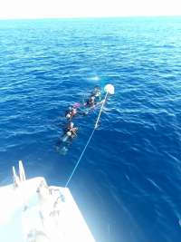 Great day of scuba diving in Key Largo with Rainbow Reef on uscgc duane tropical destiny 2019 04 21 r8151 1