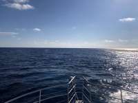 Great day of scuba diving in Key Largo with Rainbow Reef on uscgc duane tropical odyssey 2019 04 29 r8196 1
