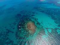 Great day of scuba diving in Key Largo with Rainbow Reef on banana patch tropical odyssey 2019 08 20 r8711 2