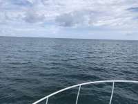 Great day of scuba diving in Key Largo with Rainbow Reef on christ statue tropical serenity 2019 08 13 r8693 1