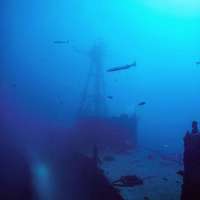 Great day of scuba diving in Key Largo with Rainbow Reef on conch wall tropical odyssey 2019 08 07 r8656 1