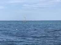 Great day of scuba diving in Key Largo with Rainbow Reef on eagle ray alley santana 2019 08 29 r8739 1