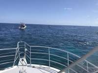 Great day of scuba diving in Key Largo with Rainbow Reef on eagle ray alley tropical legend 2019 08 08 r8665 1
