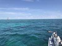 Great day of scuba diving in Key Largo with Rainbow Reef on eagle ray alley tropical legend 2019 08 17 r8704 1