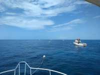 Great day of scuba diving in Key Largo with Rainbow Reef on eagle ray alley tropical serenity 2019 08 05 r8650 1