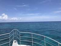 Great day of scuba diving in Key Largo with Rainbow Reef on french reef tropical odyssey 2019 08 09 r8669 1