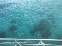 Great day of scuba diving in Key Largo with Rainbow Reef on minnow cave tropical legend 2019 08 07 r8657 1