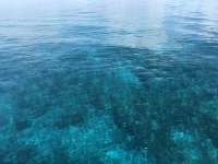 Great day of scuba diving in Key Largo with Rainbow Reef on snapper ledge tropical legend 2019 08 09 r8666 1