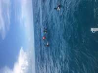 Great day of scuba diving in Key Largo with Rainbow Reef on snapper ledge tropical legend 2019 08 25 r8726 1