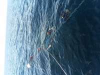 Great day of scuba diving in Key Largo with Rainbow Reef on spiegel grove tropical destiny 2019 08 23 r8717 1