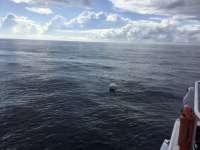 Great day of scuba diving in Key Largo with Rainbow Reef on spiegel grove tropical destiny 2019 08 30 r8743 1