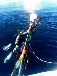 Great day of scuba diving in Key Largo with Rainbow Reef on spiegel grove tropical odyssey 2019 08 11 r8677 1
