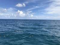 Great day of scuba diving in Key Largo with Rainbow Reef on spiegel grove tropical voyager 2019 08 03 r8642 1