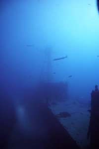 Great day of scuba diving in Key Largo with Rainbow Reef on uscgc duane tropical adventure 2019 08 13 r8690 2