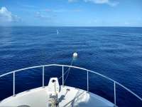 Great day of scuba diving in Key Largo with Rainbow Reef on uscgc duane tropical destiny 2019 08 08 r8659 1