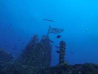 Great day of scuba diving in Key Largo with Rainbow Reef on uscgc duane tropical destiny 2019 08 29 r8740 1