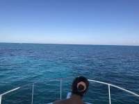 Great day of scuba diving in Key Largo with Rainbow Reef on banana patch tropical destiny 2019 12 07 r8994 1