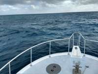 Great day of scuba diving in Key Largo with Rainbow Reef on eagle ray alley santana 2019 12 29 r9087 1