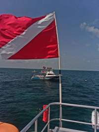 Great day of scuba diving in Key Largo with Rainbow Reef on fire coral cave tropical legend 2019 12 26 r9067 1