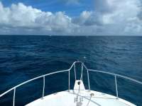 Great day of scuba diving in Key Largo with Rainbow Reef on fire coral cave tropical serenity 2019 12 26 r9068 1