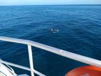Great day of scuba diving in Key Largo with Rainbow Reef on hole in the wall santana 2019 12 31 r9102 1
