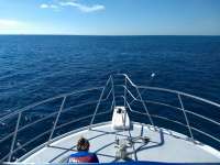 Great day of scuba diving in Key Largo with Rainbow Reef on molasses reef tropical adventure 2019 12 25 r9064 1