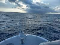 Great day of scuba diving in Key Largo with Rainbow Reef on molasses reef tropical odyssey 2019 12 14 r9027 1