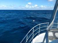 Great day of scuba diving in Key Largo with Rainbow Reef on north star tropical legend 2019 12 12 r9014 1
