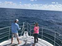 Great day of scuba diving in Key Largo with Rainbow Reef on pillar coral tropical legend 2019 12 06 r8988 1